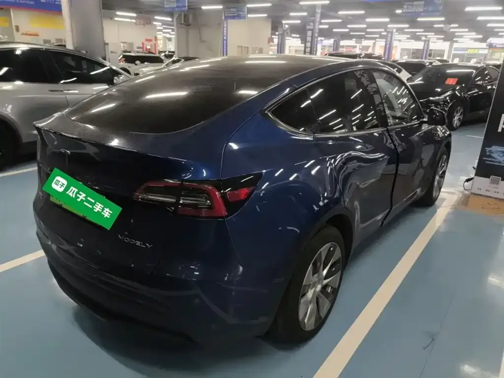 Tesla Model Y — фото 10