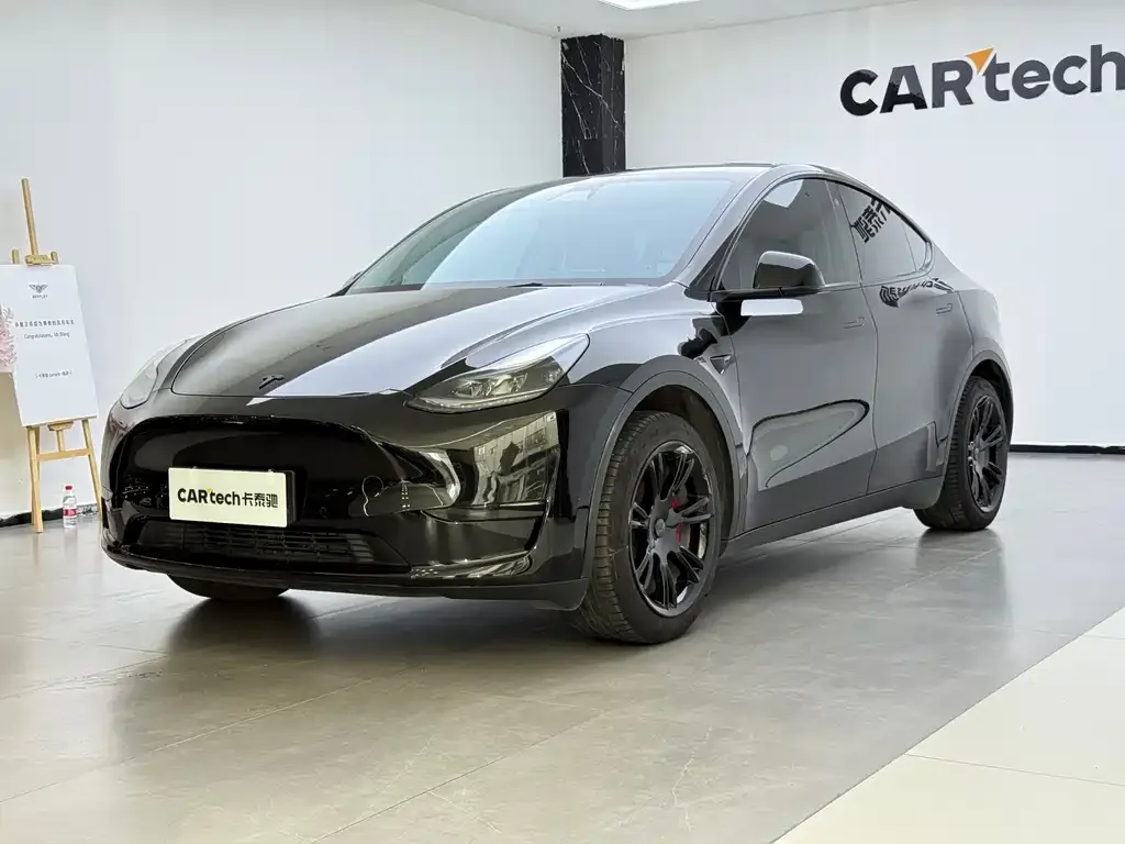 Tesla Model Y — фото 1