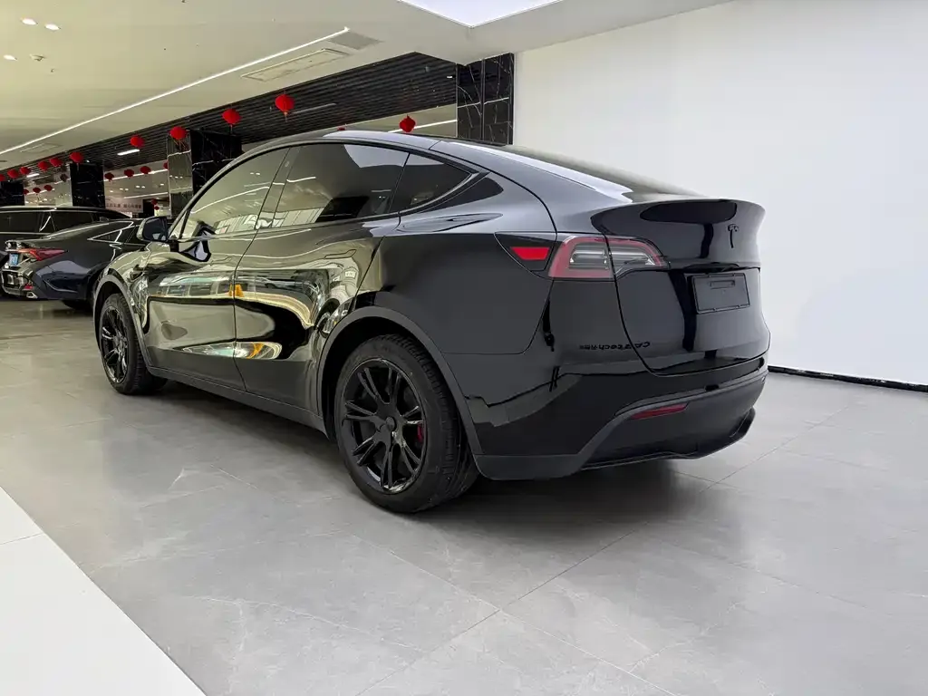 Tesla Model Y — фото 9