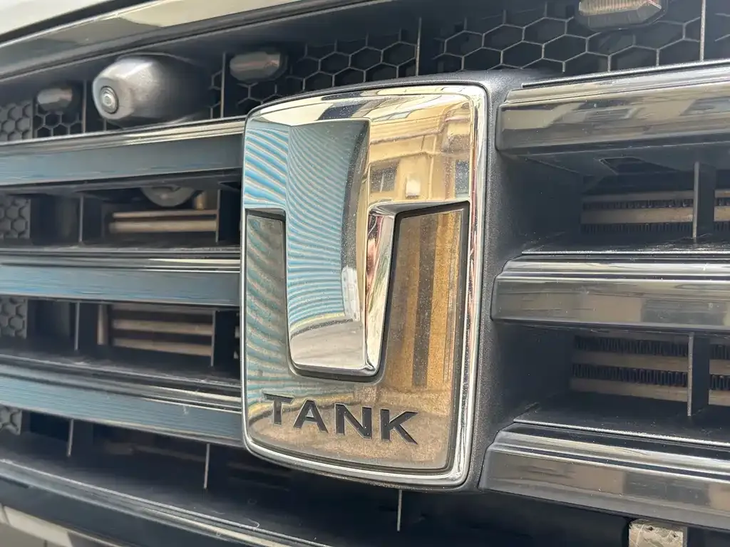 Tank 300 2022 из CN, фото 3