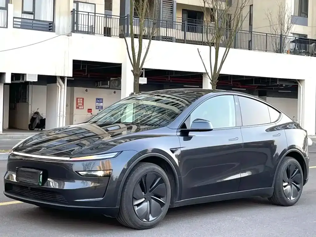 Tesla Model Y — фото 1