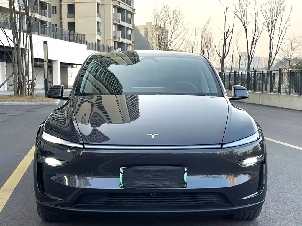 Tesla Model Y — фото 2