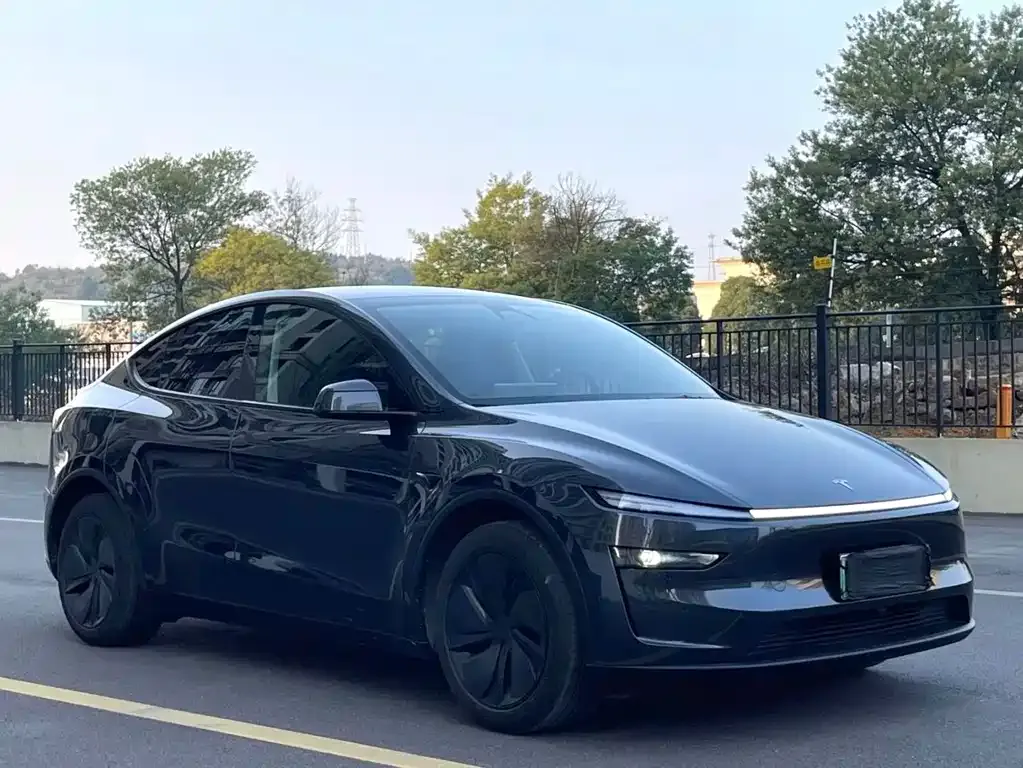 Tesla Model Y — фото 7