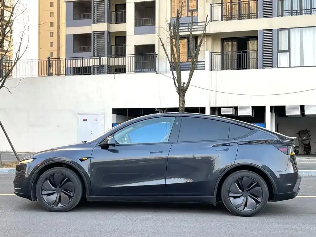 Tesla Model Y — фото 8