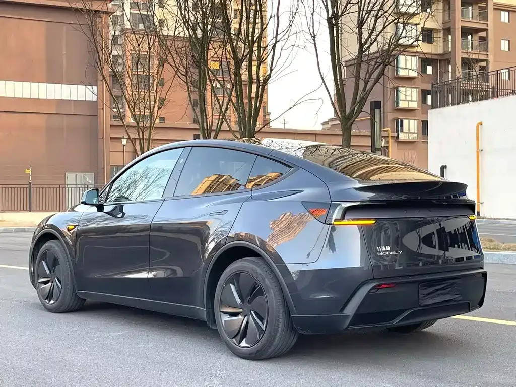 Tesla Model Y — фото 10