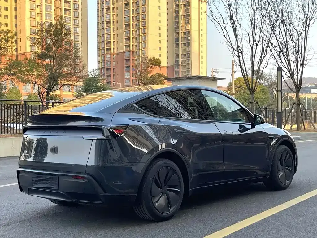 Tesla Model Y — фото 5