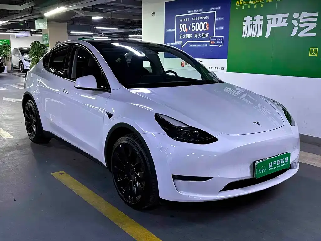Tesla Model Y — фото 1
