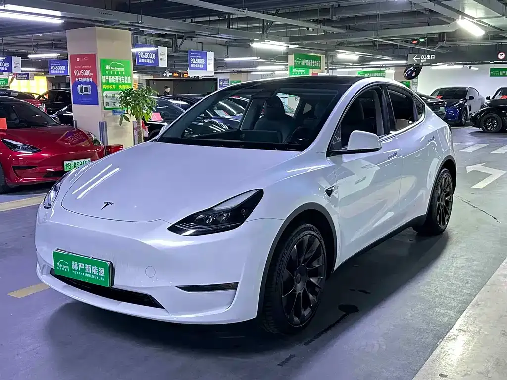 Tesla Model Y — фото 8