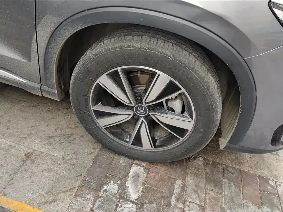 BYD Pro New Energy 2023 из CN, фото 10