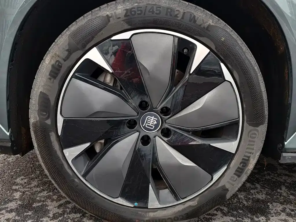 BYD Tang L 2025 из CN, фото 6