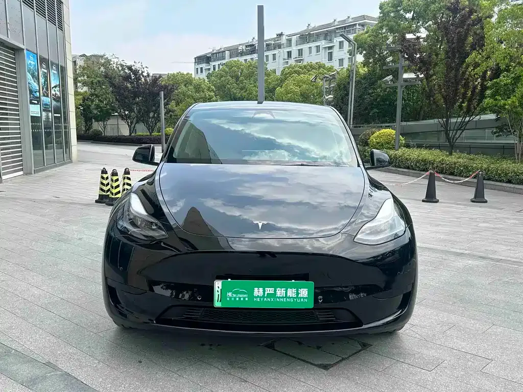 Tesla Model Y — фото 7