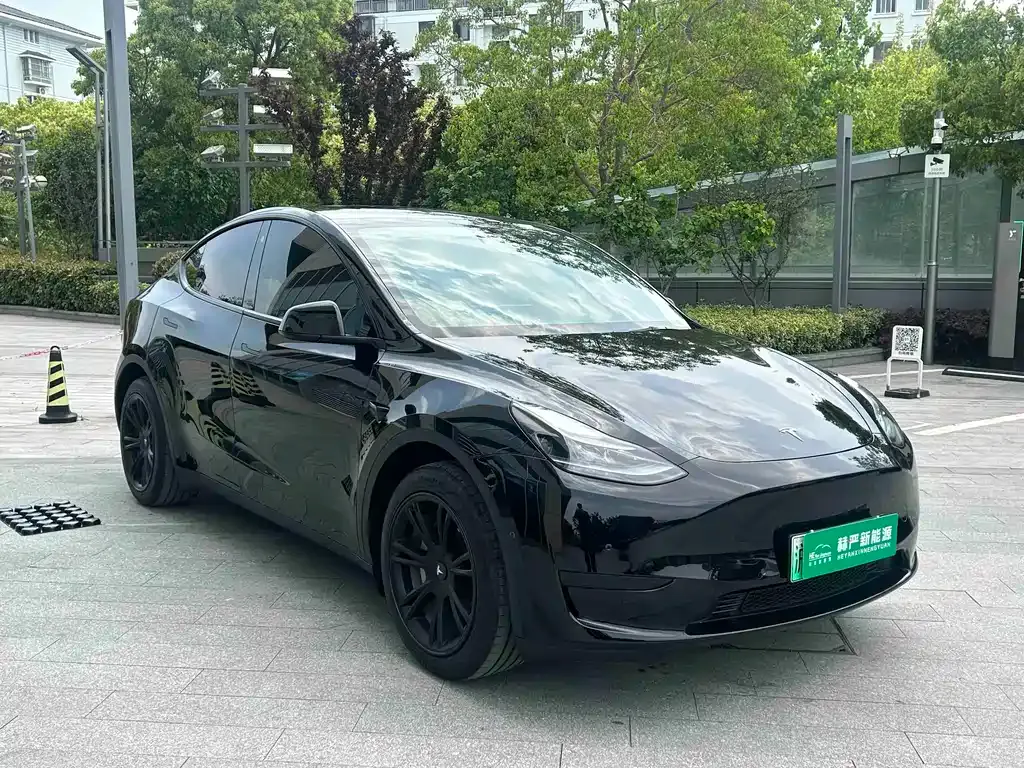 Tesla Model Y — фото 9