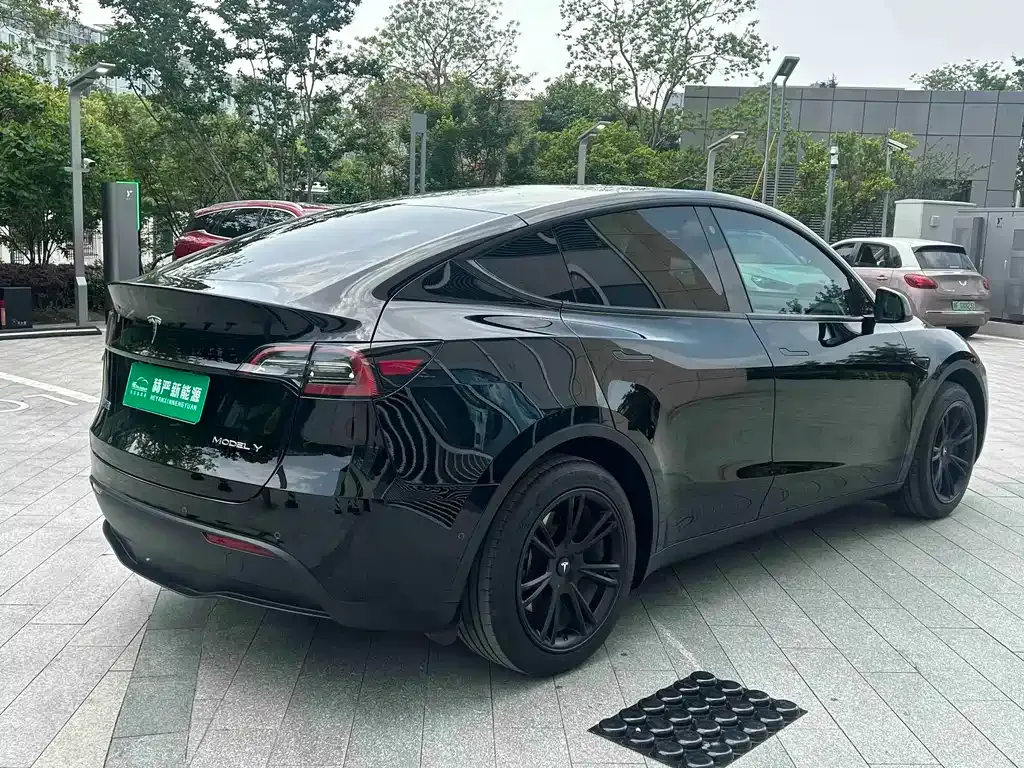 Tesla Model Y — фото 8