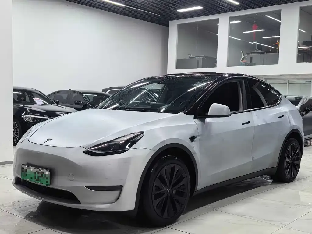 Tesla Model Y — фото 1