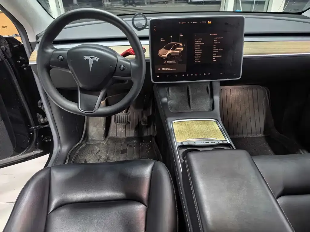 Tesla Model Y — фото 8