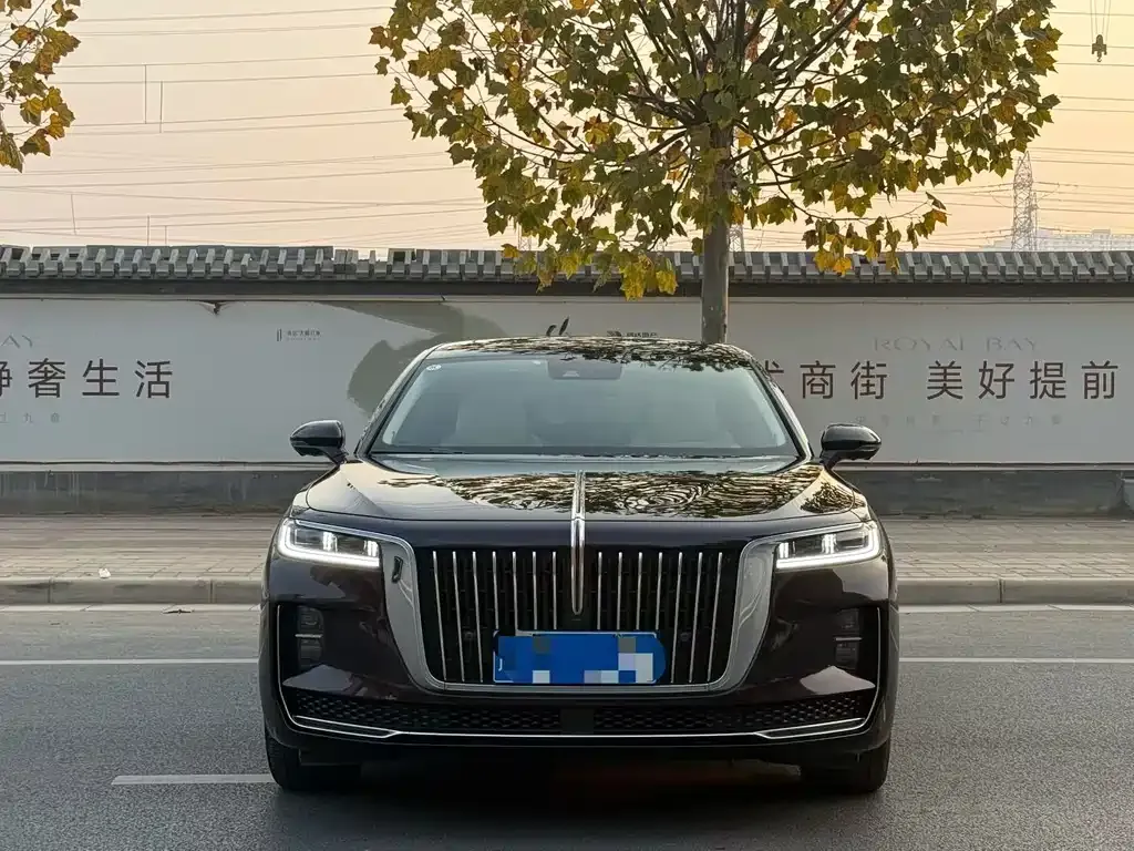 Hongqi H9 — фото 4