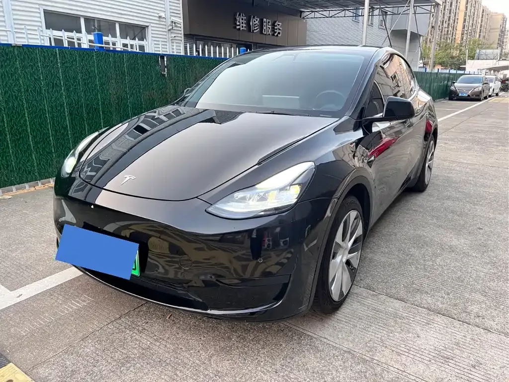 Tesla Model Y — фото 1