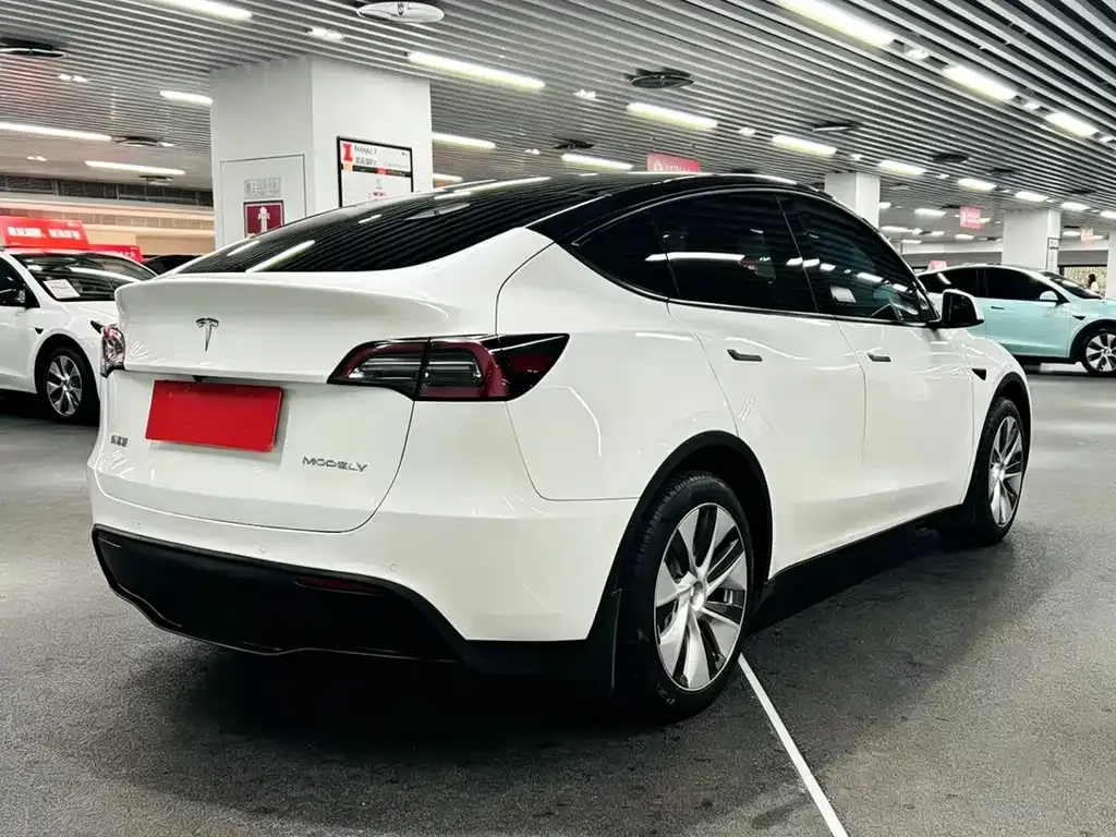 Tesla Model Y — фото 6