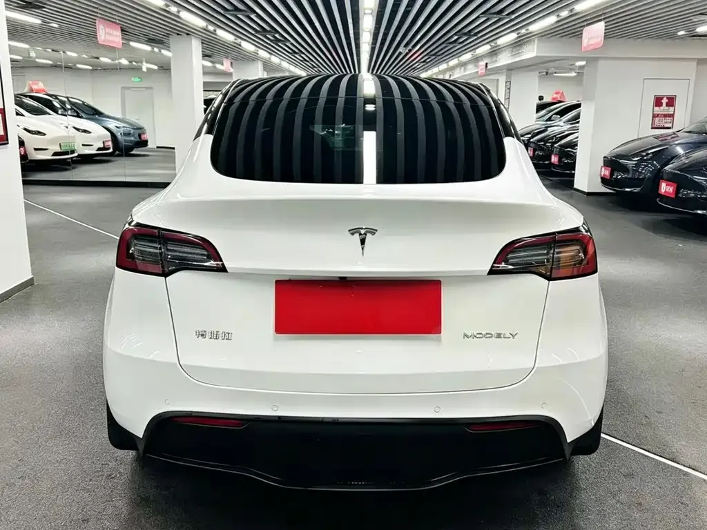 Tesla Model Y — фото 4