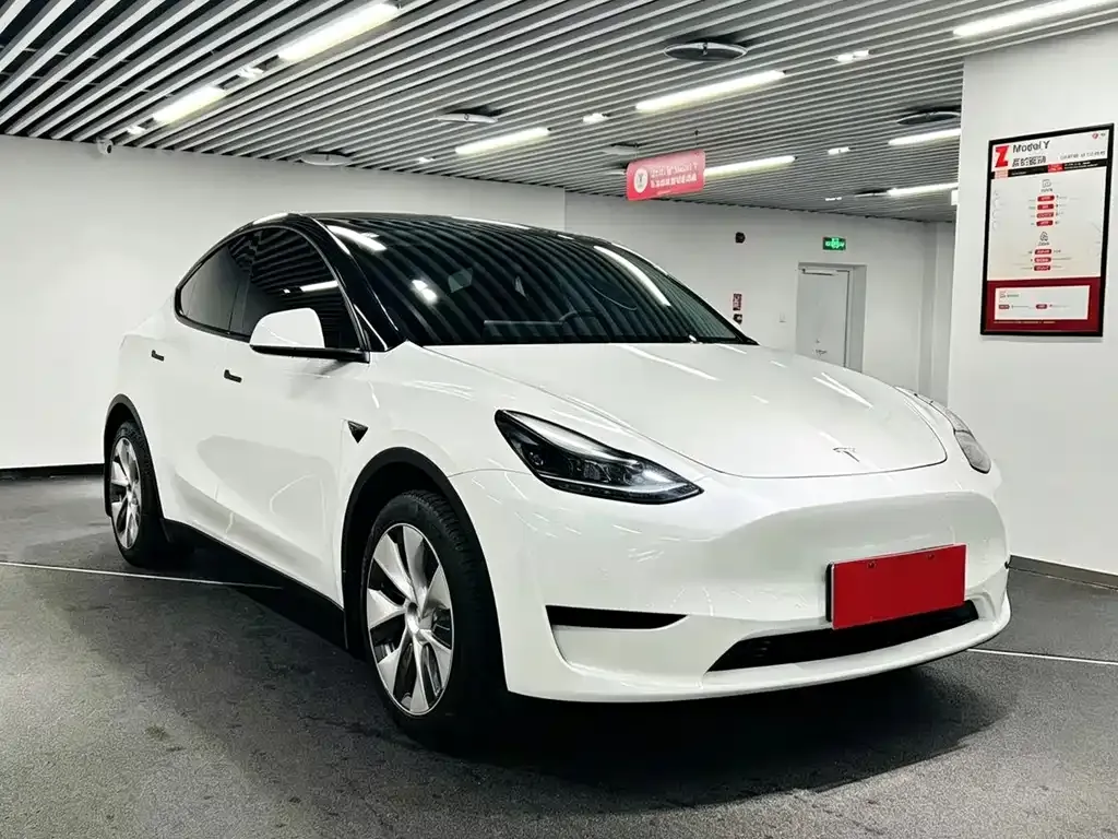 Tesla Model Y — фото 9