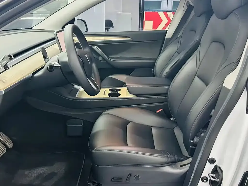 Tesla Model Y — фото 8