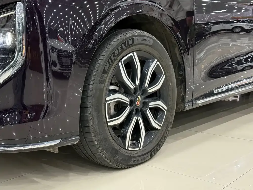 Hongqi HQ9 2023 из CN, фото 5