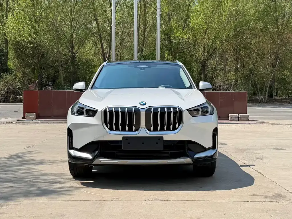 BMW X1 2023 из CN, фото 6