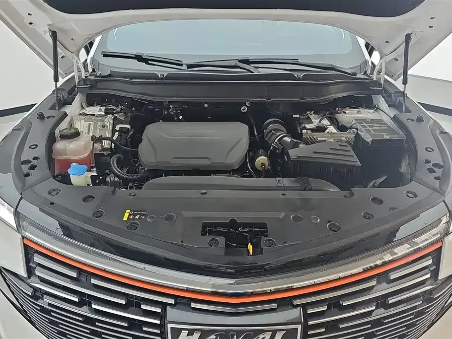 Haval Shenshou 2023 из CN, фото 5