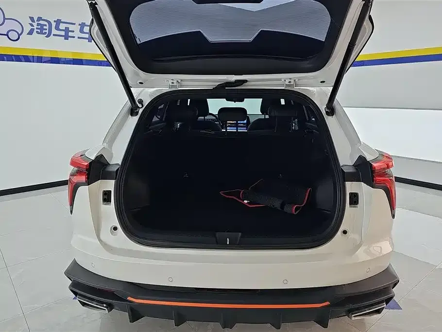 Haval Shenshou 2023 из CN, фото 8