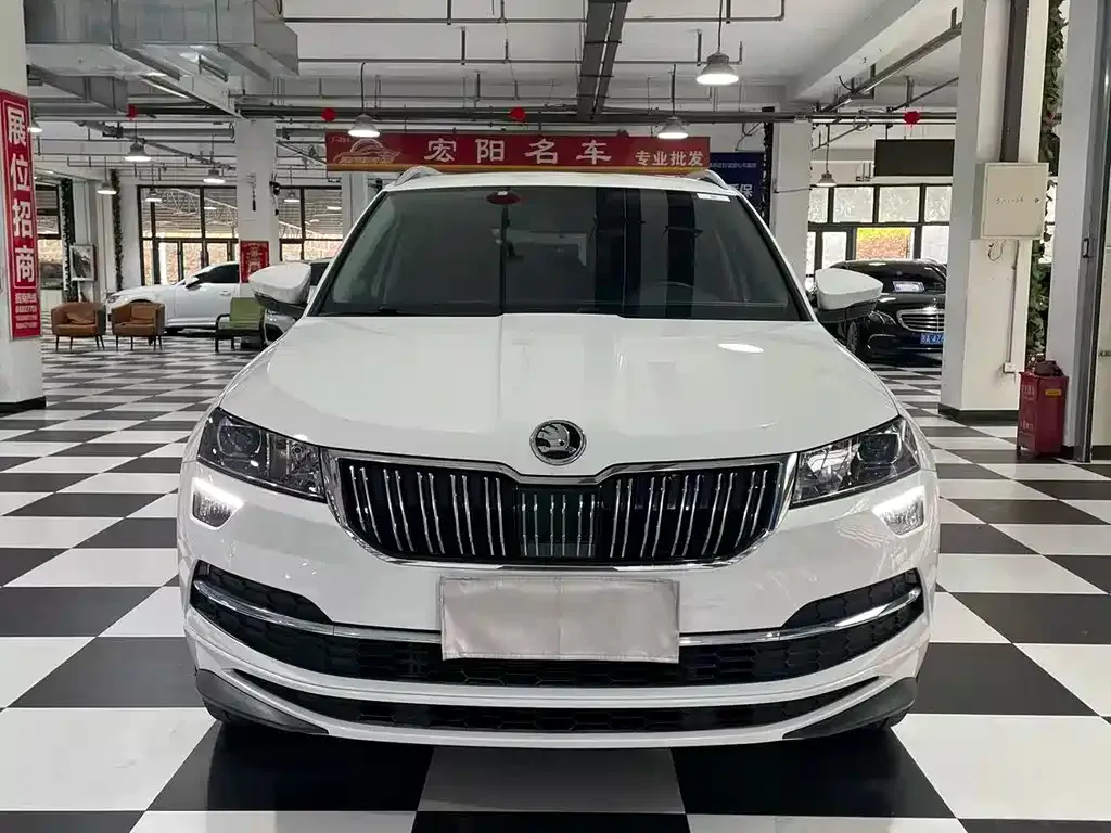 Skoda Karoq — фото 7