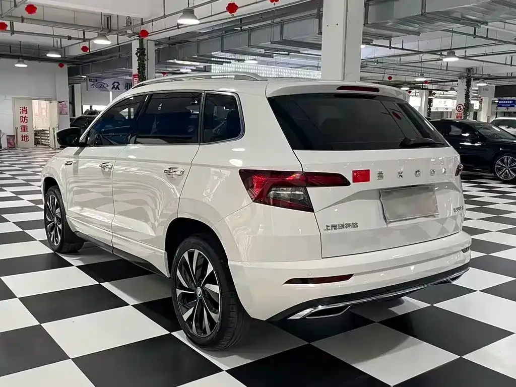 Skoda Karoq — фото 8