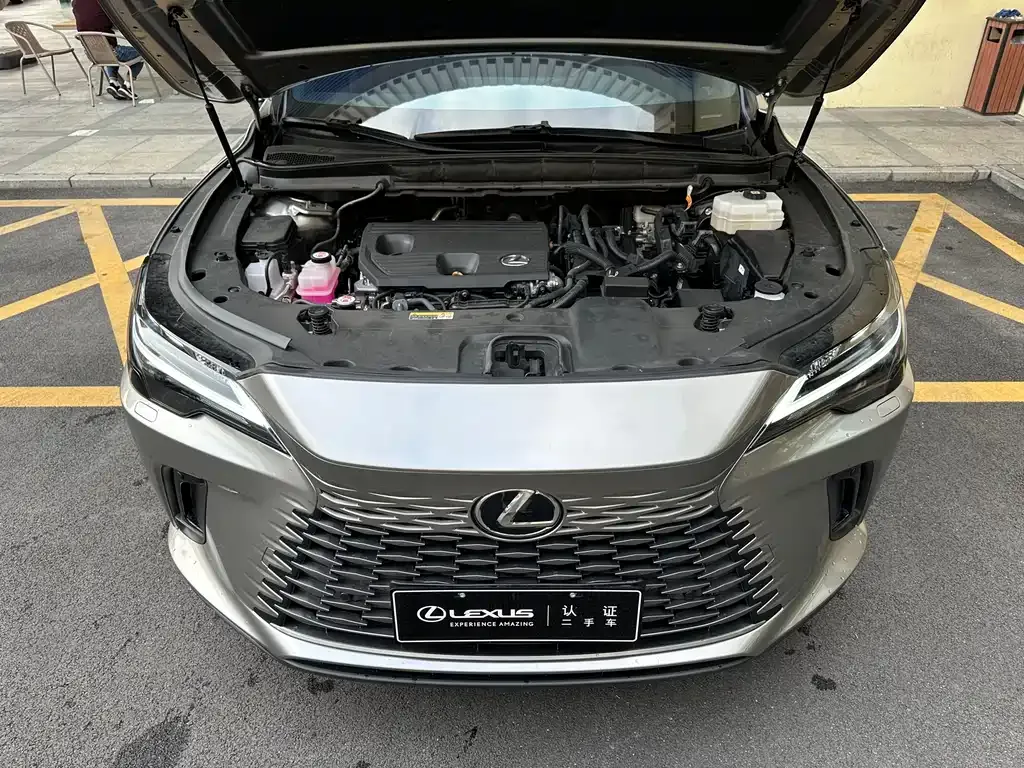 Lexus RX — фото 10