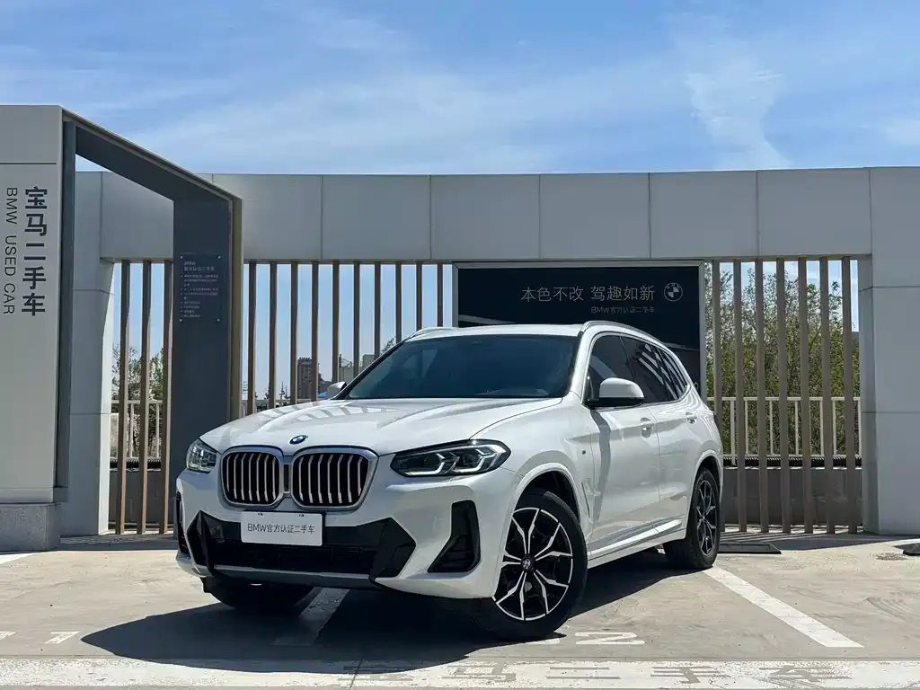 BMW X3 — фото 1