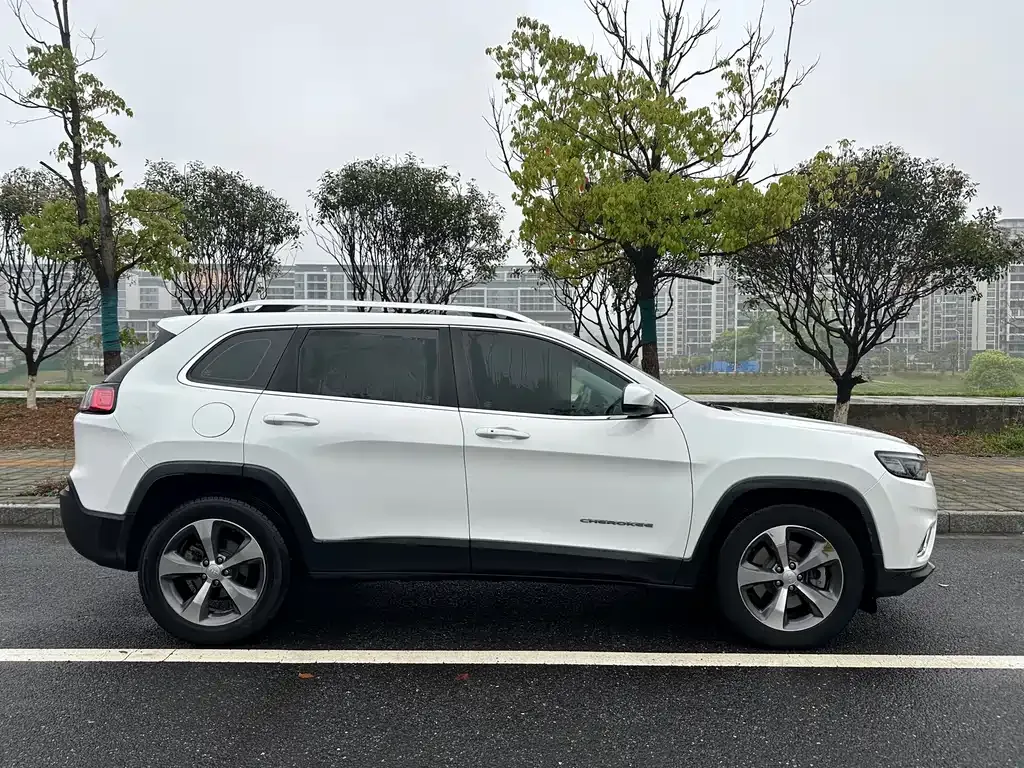 Jeep Cherokee 2021 из CN, фото 3