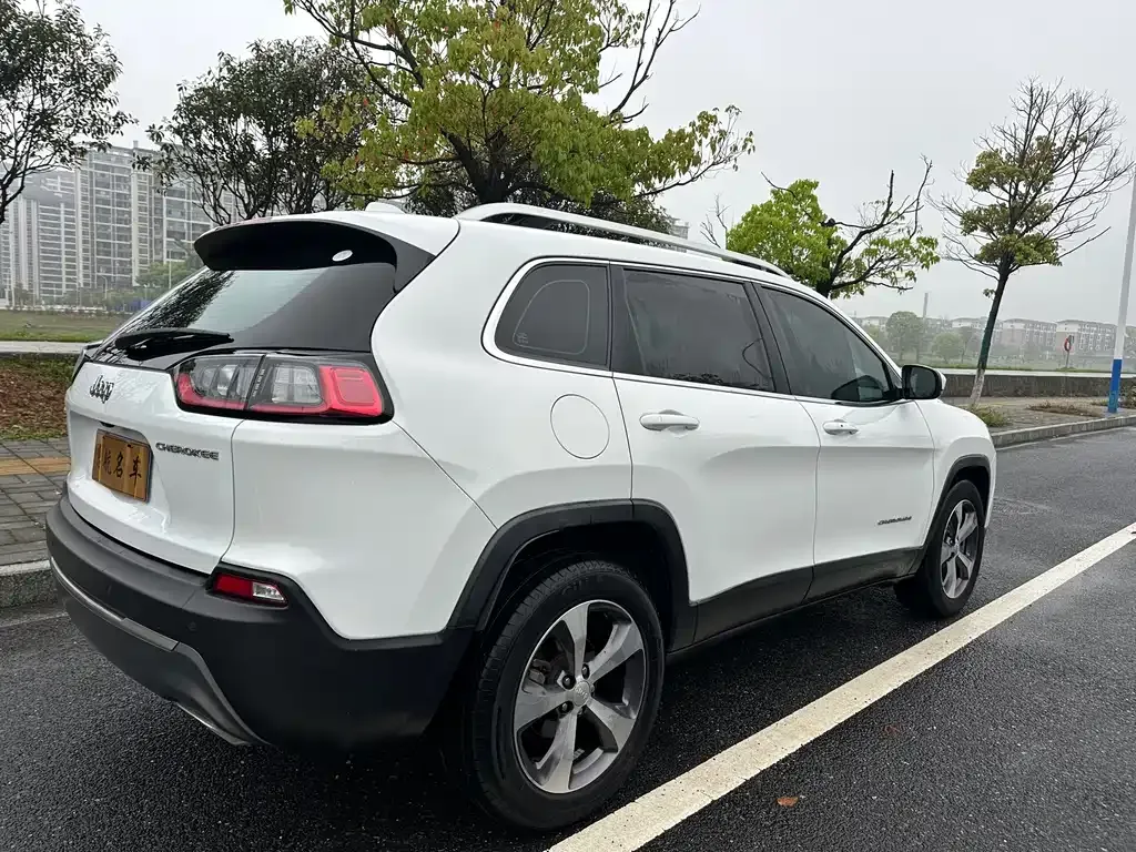 Jeep Cherokee 2021 из CN, фото 10