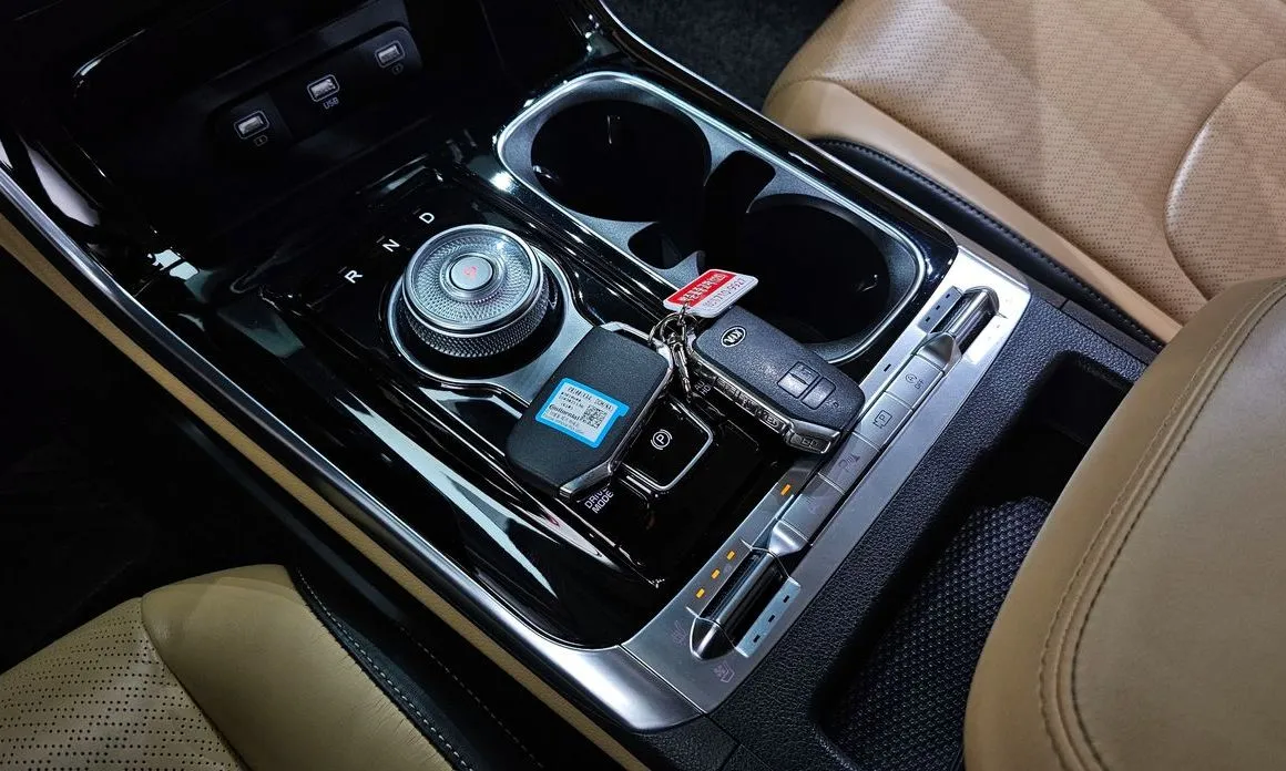 Kia Carnival — фото 10