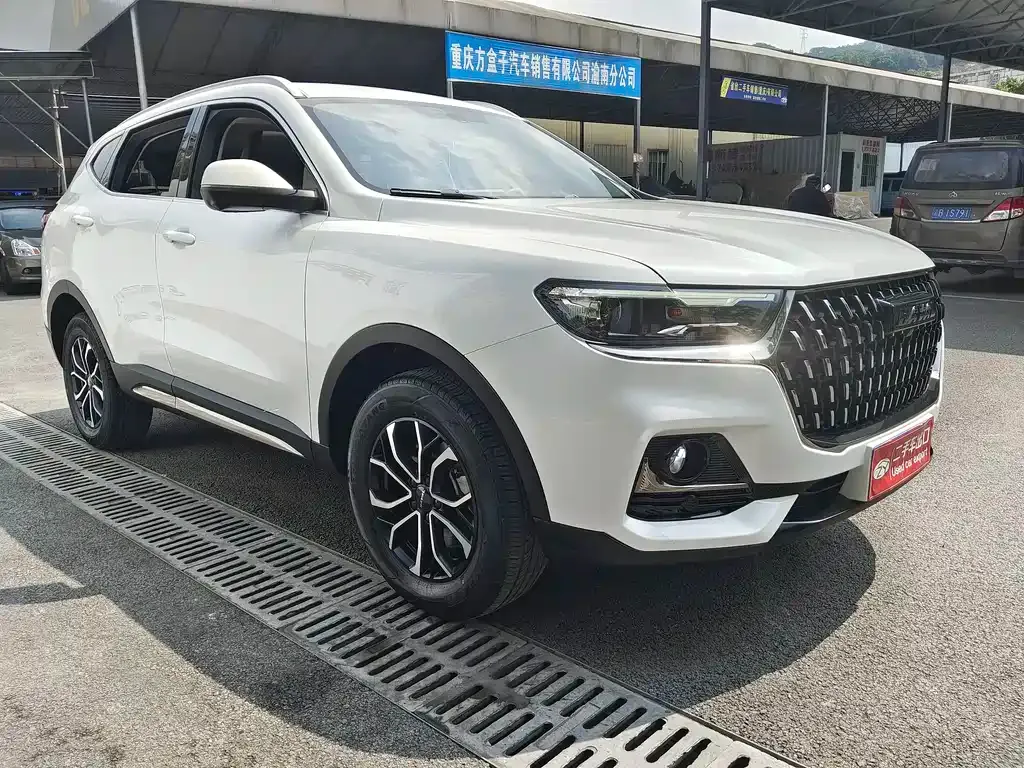 Haval H6 2023 из CN, фото 9