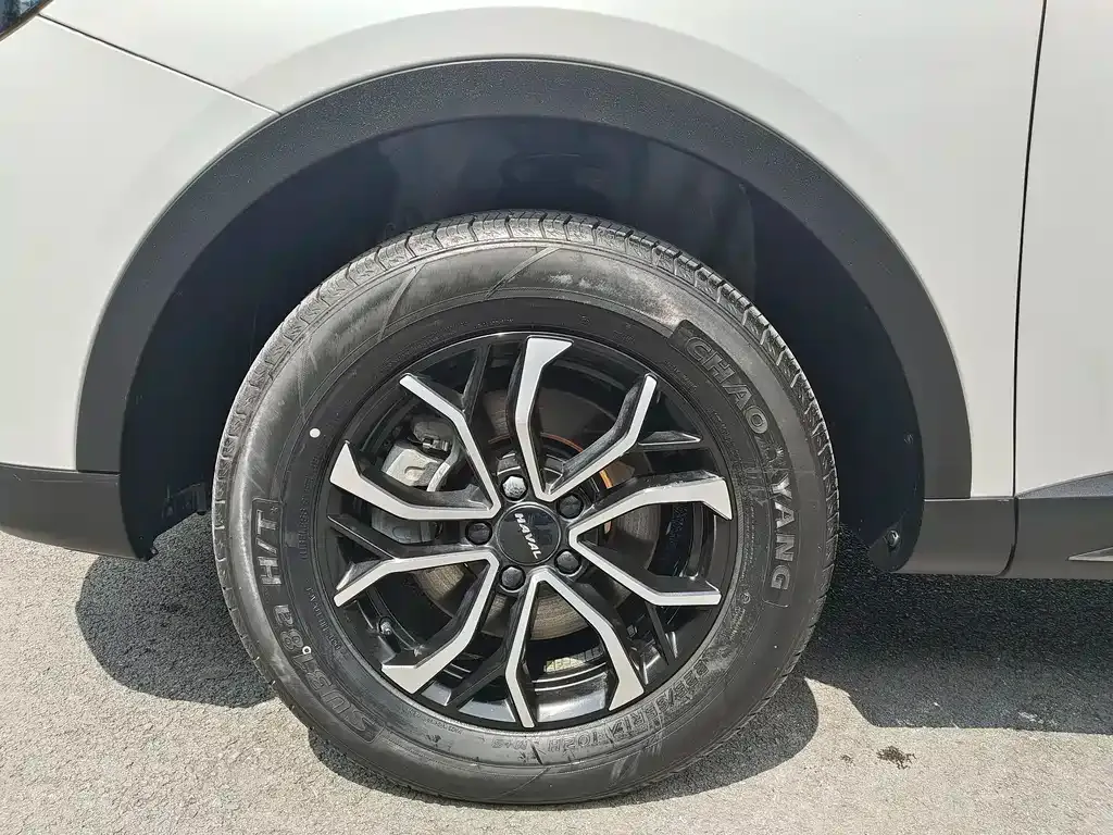 Haval H6 2023 из CN, фото 2
