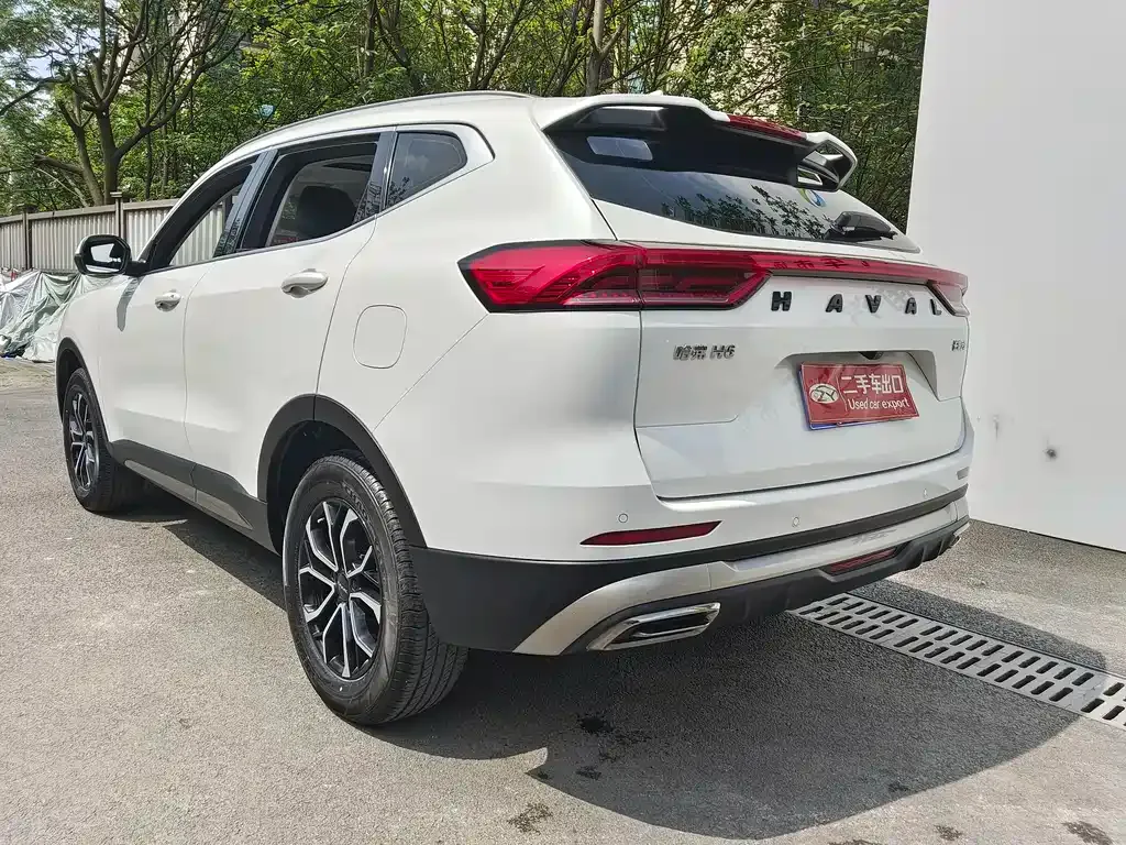 Haval H6 2023 из CN, фото 5