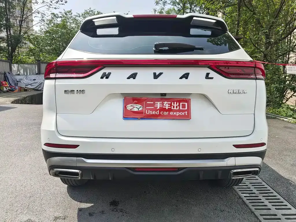 Haval H6 2023 из CN, фото 10