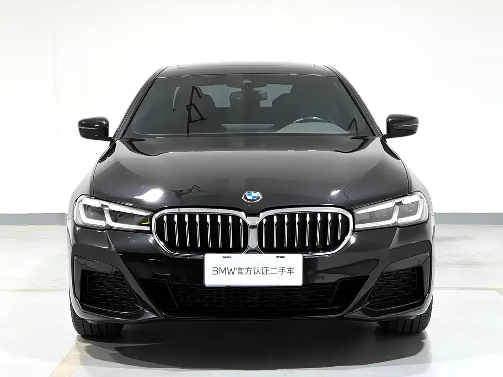 BMW 5 Series — фото 5