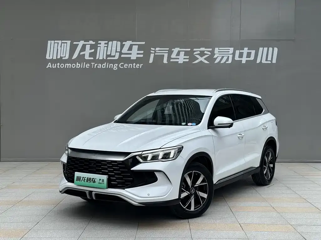 BYD Pro New Energy — фото 1