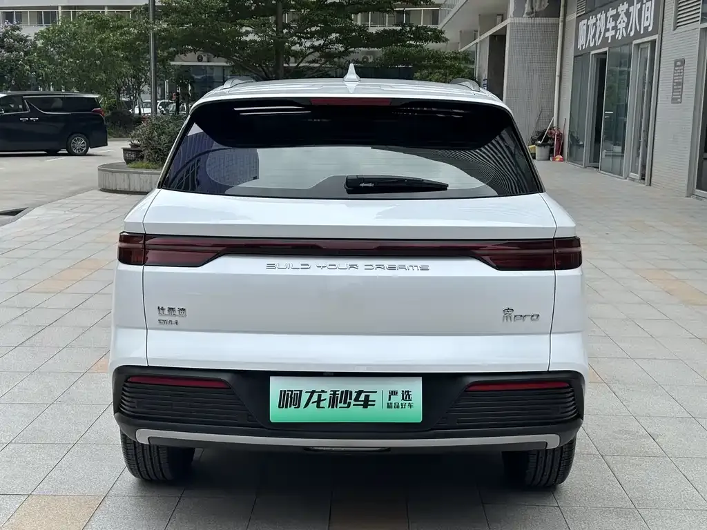 BYD Pro New Energy — фото 2