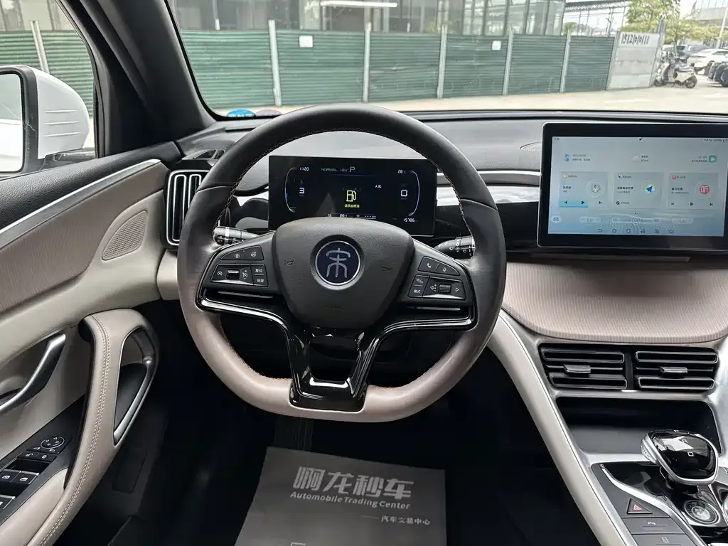BYD Pro New Energy — фото 8