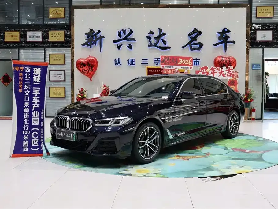 BMW 5 Series New Energy — фото 1