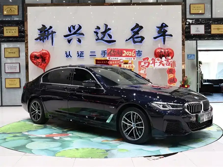 BMW 5 Series New Energy — фото 7