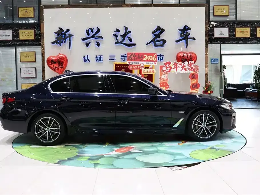BMW 5 Series New Energy — фото 4
