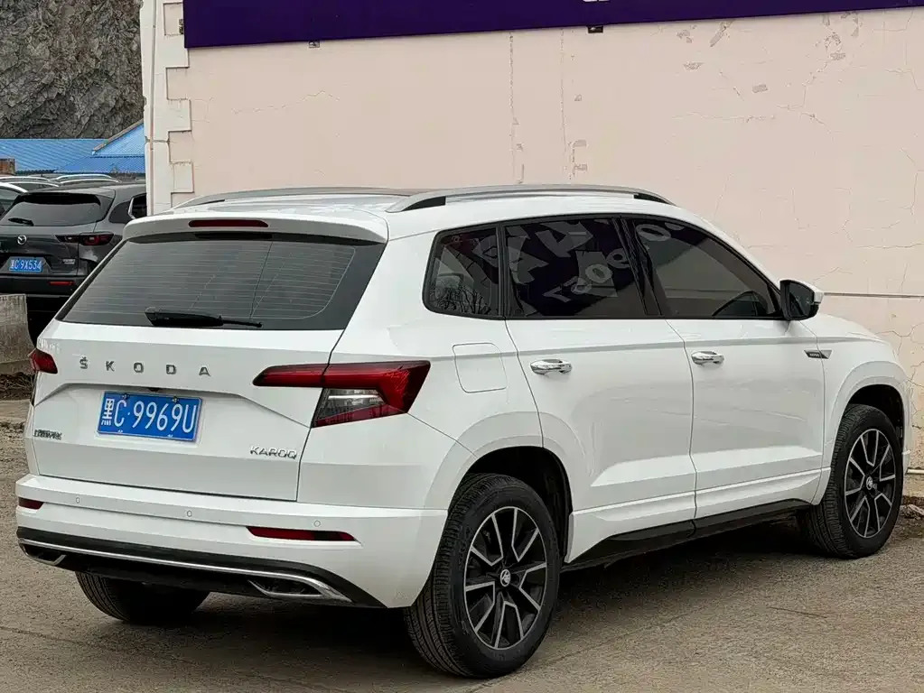 Skoda Karoq — фото 7