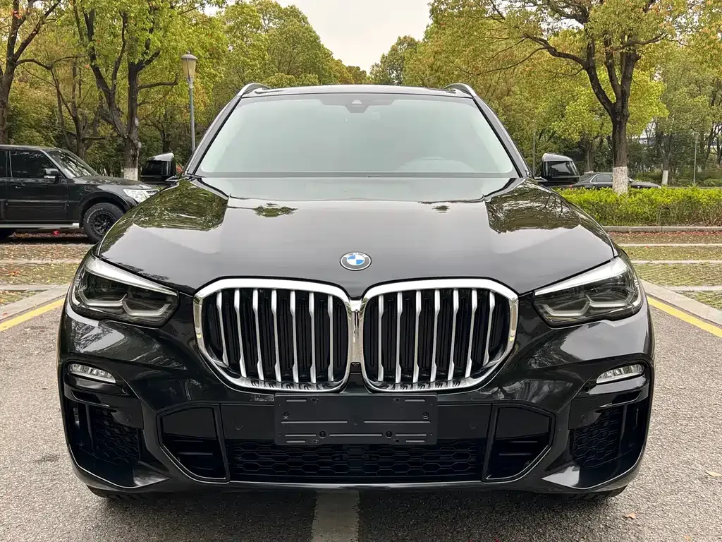 BMW X5 (Import) 2021 из CN, фото 7