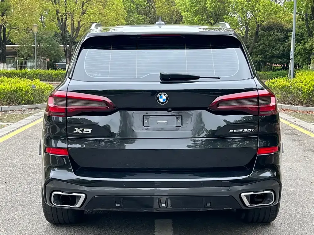 BMW X5 (Import) 2021 из CN, фото 5